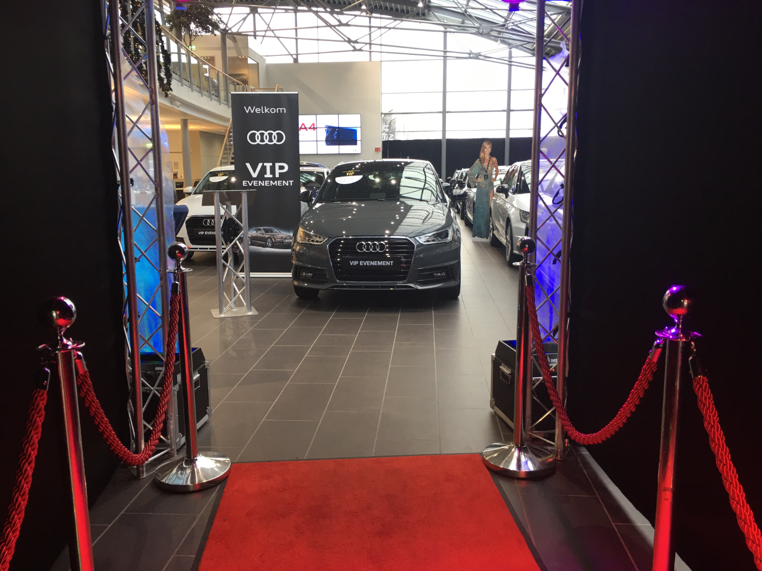 Vip Nl Waarom de VIP events als voorbeeld zouden dienen voor leadopvolging!